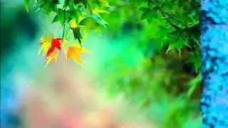 October shades (original mix)