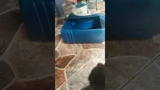 hitam ga tuh pantes jadi boros BBM dan loyo.... # Ertiga lama