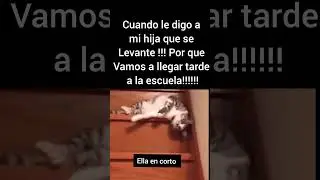 Cuando le digo a mi hija que se levante por que vamos a llegar tarde a la escuela Ella en corto...