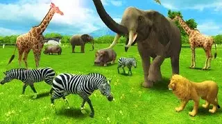 Learn Animals | Have Fun With REAL ANIMAL 3D Game | Funny gameplay video