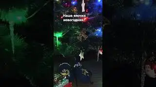 17 декабря 2023 г.