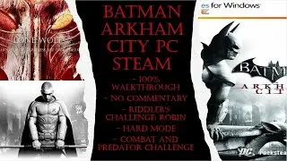 Batman Arkham City PC Steam (Hard) 100% Walkthrough Robin Challenge (No Commentary)