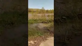 Алей вышел с берегов