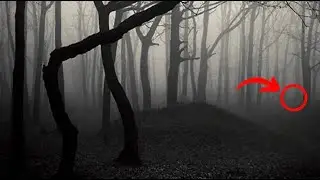 Top 13 Forbidden Places That Will Give You Chills