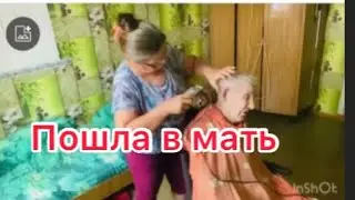 Вся порода винохода ,только дедушка рысак.