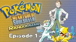Pokémon HGSS Randomizer [1] - Multiplayer