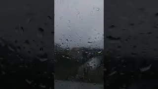 гроза ⚡ 🤦