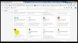 AccessPress Social Login - How to Configure Google API | WordPress Tutorial
