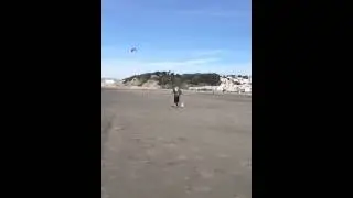 Miniature poodle out runs man