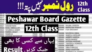 12th Class Result Gazette Peshawar board HSSC result gazette 2024 Kpk Board