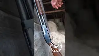 Cool US shotgun 