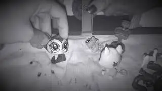 Lps Cruise Ship Disaster Part 2