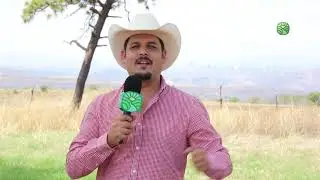 Arándano variedad Sophia-Biloxi aplicando Germen Energy ⚡️🫐