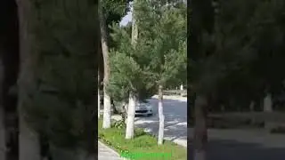 #uzbekistan