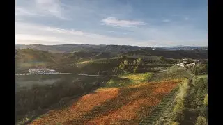 Acetaia Sereni - The homeland of Balsamic Vinegar of Modena