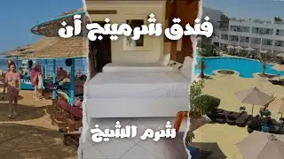#شرم_الشيخ #فندق شيرمنج ان من ارخص الفنادق في #شرم_الشيخ