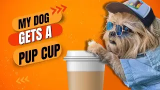 Join my dog Pepe, as he enjoys a car ride and a delightful pup cup stop.