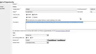 Microsoft Dynamics CRM 2013 for Editable Tooltips