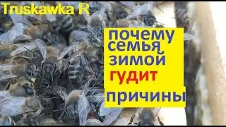 #Bees