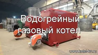 Водогрейный газовый котел