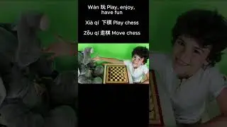 How to Say Play Chess Have Fun in Chinese?