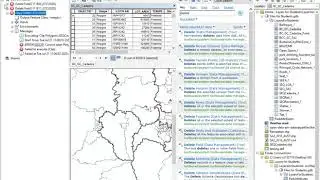 How to delete fields in ArcMap