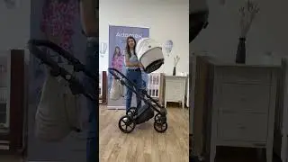 Коляска Adamex Porto - PO-PS33