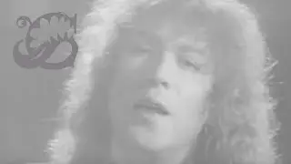 Я не забуду тебя никогда ♫ на губной гармошке