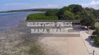 Bama Beach - Situbondo - East Java - Indonesia