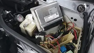 BMW Siemens MS42 to MS43 Swap Conversion E46 -DIY Comprehensive-