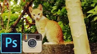 Efecto Amaro Instagram - Tutorial Photoshop