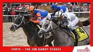 Forte - 2023 - The Jim Dandy pres. by DK Horse
