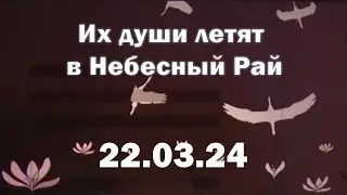 Пусть души их летят в Небесный Рай (в память погибшим в Крокус Сити)