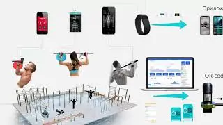 Workout в MACOMO SPORT