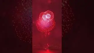 С Днём Независимости!!!
