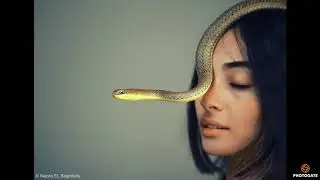 النواعم