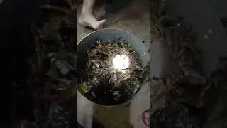 ntes roob ris tau ntau tas tas