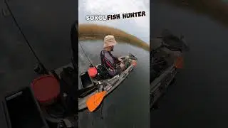 Щука на спиннинг