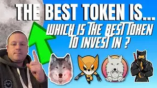 MANDOX | MONONOKE INU | SAITAMA | WOLVERINU | SHIRYO INU |SHIBNOBI | WHICH IS THE BEST INVESTMENT ?
