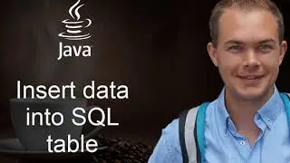 Java PostgreSQL Database - 03 Insert data into table