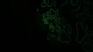 18 ноября 2023 г.