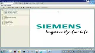 Sap Ewm online training
