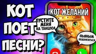 ЗВОНОК КОТУ ЖЕЛАНИЙ НЕ В 3 ЧАСА НОЧИ