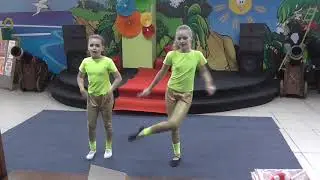 Шоу двойников 