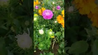 Приглашаю Вас на свой канал!