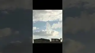 23 октября 2024 г.