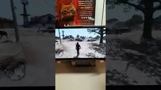 RDR for Nintendo switch #nintendoswitch