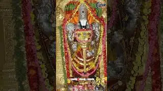 తుమ్మలగుంటలో వైకుంఠ ఏకాదశి ఏర్పాట్లు ||#telugu news #jsrnews #jsrnewsap