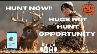 Whitetail Strategy // Rut Hunting Big Bucks // GUNNAR HANSON