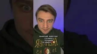 ВЫМЕРШИЕ ЖИВОТНЫЕ СЛУЧАЙНО ПОПАВШИЕ НА КАМЕРУ!!!